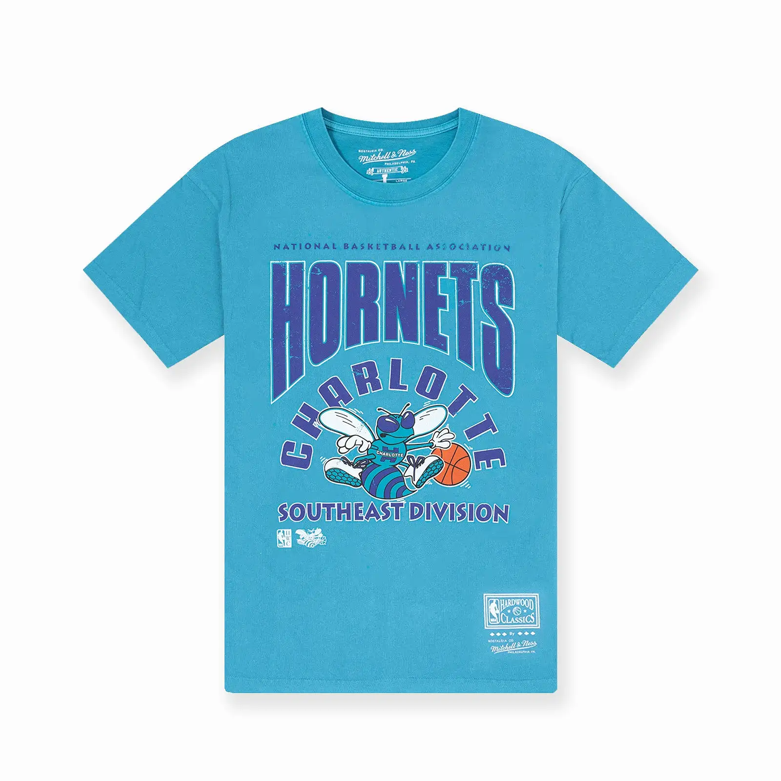 Charlotte Hornets Division Arch Vintage Tee - Faded Teal