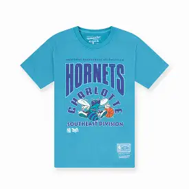 Charlotte Hornets Division Arch Vintage Tee - Faded Teal